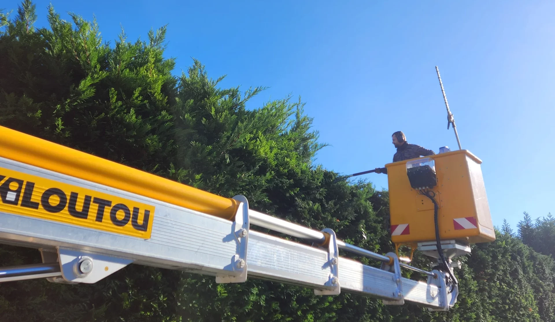 Taille de haie en hauteur avec nacelle à Lyon par Charmille Élagage