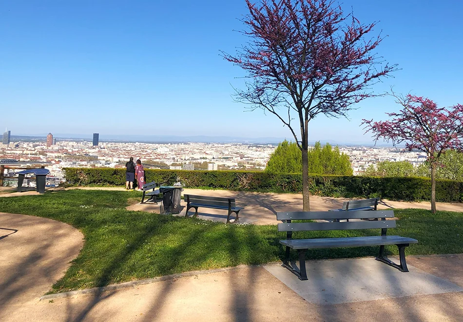 Collectivités et espaces publics élagage Lyon